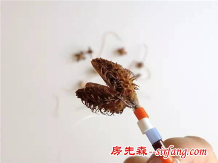 發(fā)現(xiàn)生活中的美：巧用廚房垃圾制作漂亮手工小風(fēng)鈴