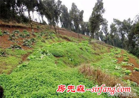 農(nóng)村平房室內(nèi)墻保溫怎么做？農(nóng)村和城市有哪些不同？