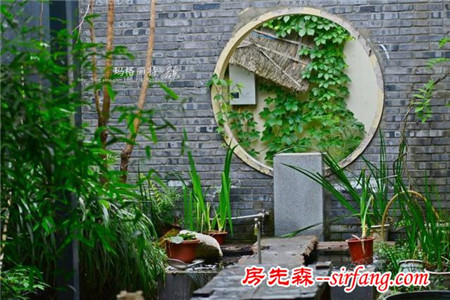 植物美图笔记｜爬山虎之五叶地锦