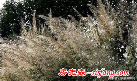伙呆！杭州遇上地中海，是场最美丽的意外！