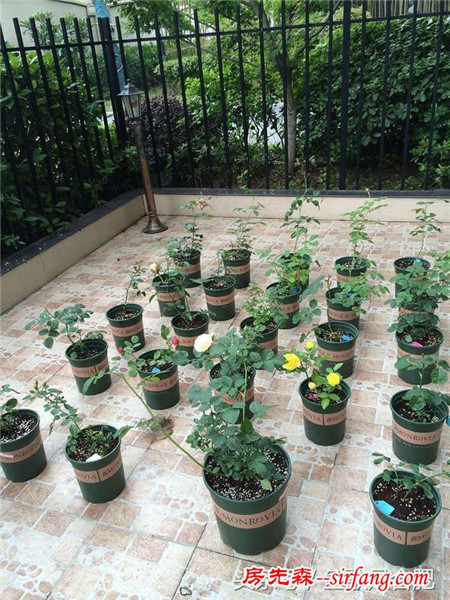 典型老干部的家！现代美式风格
