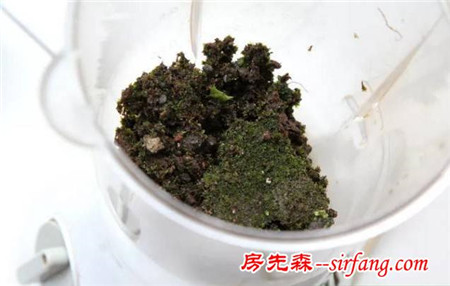 厉害了，原来苔藓还能这样玩