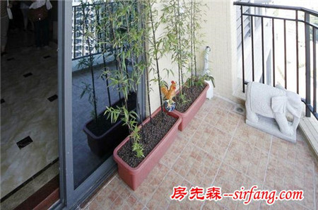 你花几万块买的阳台，怎么能就只晾衣服这么简单！