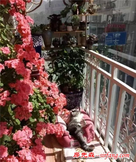 你家的這件東西，竟然價(jià)值7200億！