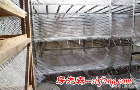 教你建造一个合格的养鸡脱温房！