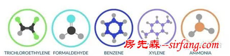 拒绝被霾，这些空气净化植物值得入手！