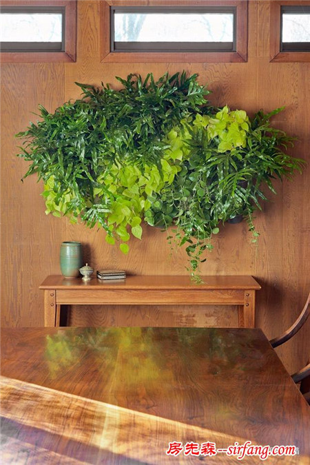 看图我就会了，这是最美却又最简单的DIY植物墙了！