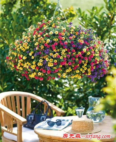 6种最灿烂的阳台开花吊篮花儿，让你一整年都有花看