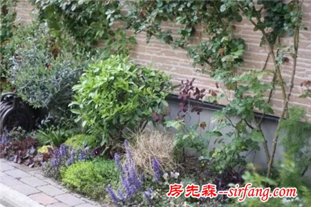庭院里的“种植池”，有哪些“植物”可种？