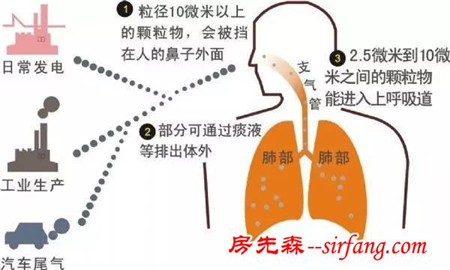 90%白血病儿跟家庭装修有关，净化空气必须看！