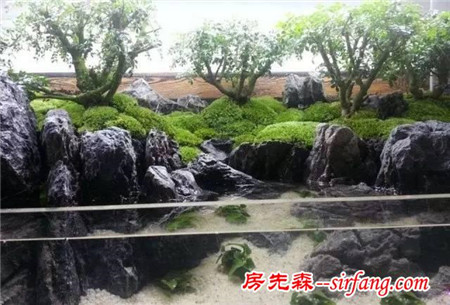 家居水景丨漂亮的水陆缸造景图片教程