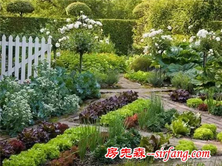 有一种花园，叫别人家的菜园