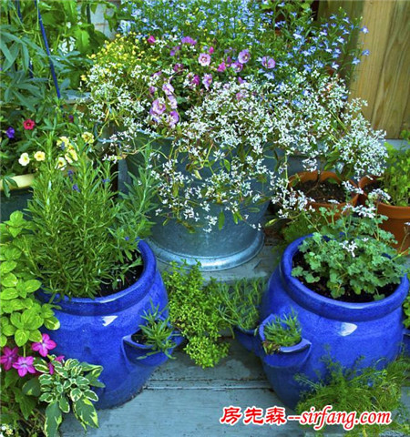 保护花卉植物的5个小技巧，让害虫远离我的小花园