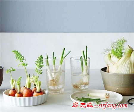 吃不完的蔬菜，就种在厨房吧！