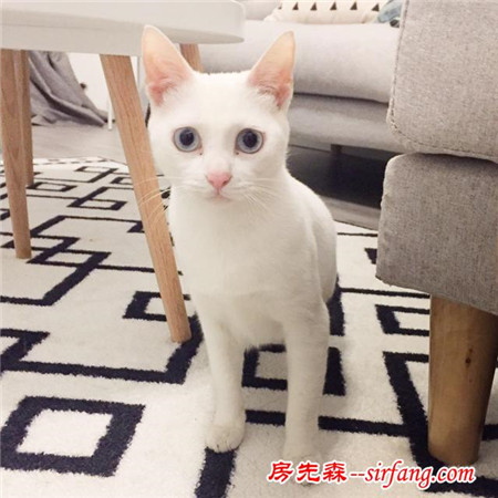 90后自装北欧loft，全程7万，这效果要吓死人了