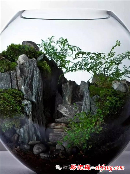 设计师Terrarium眼睛里的“瓶子”