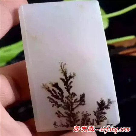 黄龙玉水草花的形成与分类