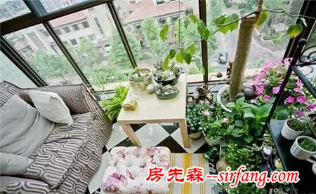 沾花惹草没那么简单：阳台花草侍弄要注意！