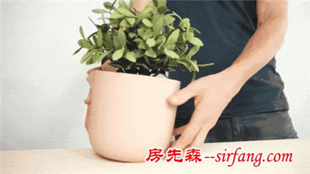 把「家务活」交给它，你们就负责甜蜜吧！