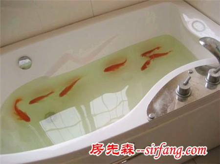 新房入住一年說說讓我后悔的6個地方，大家可別再犯了！