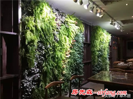 绿植没地放？不如统统搬上墙！