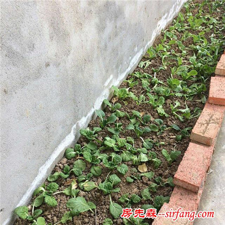 我的農(nóng)村自建房，太大太寬敞，城里的朋友看了都眼紅！