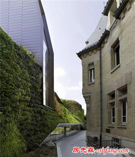 静谧的和谐，法国皮卡第植物墙案例