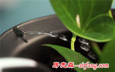 派诺特Pot变身养花小能手 还能自动浇水