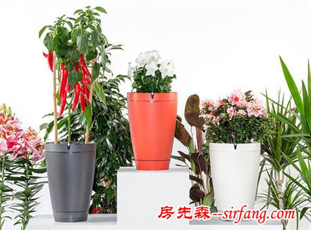 派诺特Pot变身养花小能手 还能自动浇水