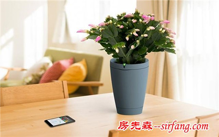 極簡設(shè)計的黑科技花盆，根據(jù)品種自動澆灌，讓養(yǎng)花更輕松