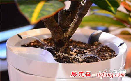 極簡設(shè)計的黑科技花盆，根據(jù)品種自動澆灌，讓養(yǎng)花更輕松
