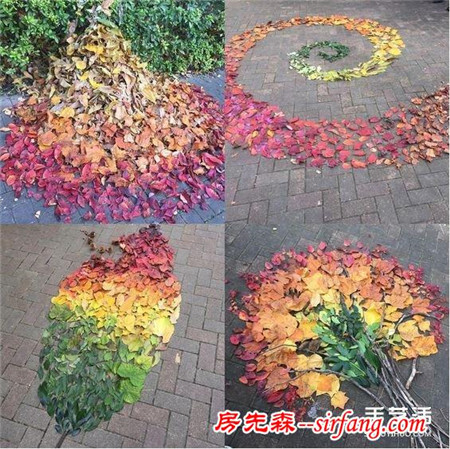 扫地也能很诗意 这么DIY让秋天落叶更浪漫！