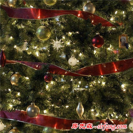 圣诞特辑1：爆米花也能装饰圣诞树？