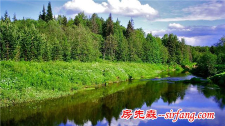 绿色的桌面，每一张都是精品！