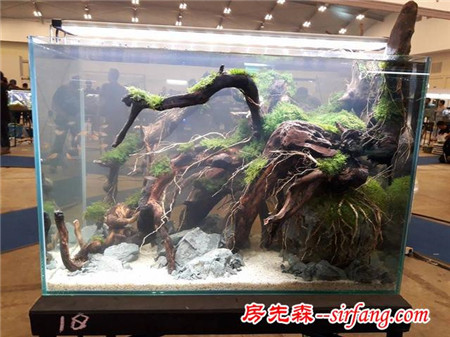 家居水草造景生态水草缸优秀造景作品欣赏