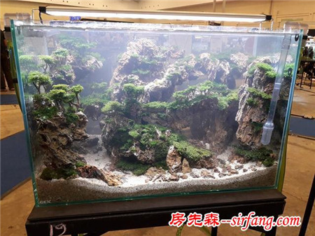 家居水草造景生态水草缸优秀造景作品欣赏