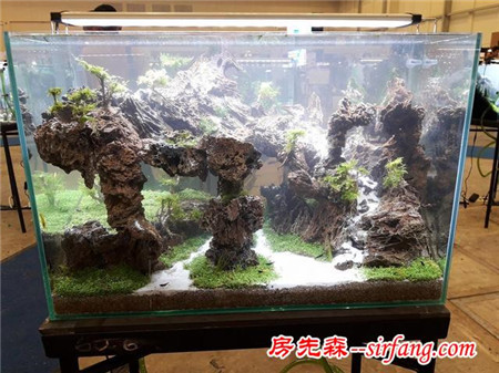 家居水草造景生态水草缸优秀造景作品欣赏