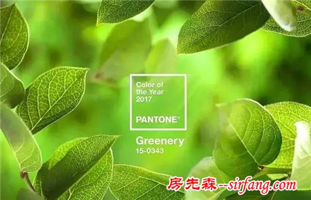 Pantone2017流行色来袭，怎么用才会更高级，看这一篇就够了