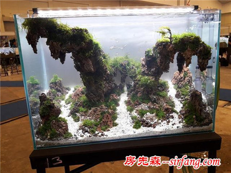 家居水草造景生态水草缸优秀造景作品欣赏