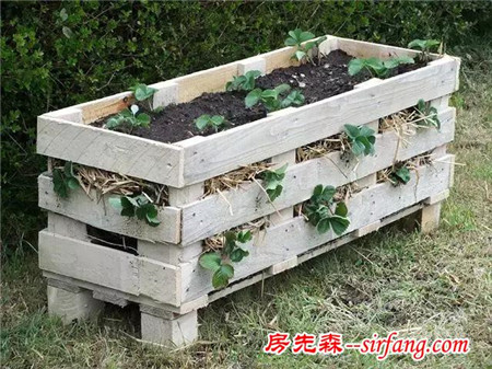 木托盘改造成花架，11个园艺小创意让你养花更轻松