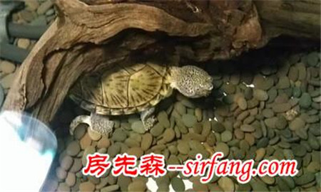 這樣布置臥室可助長運(yùn)勢