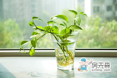 除甲醛，你聽信這些謠言了嗎？