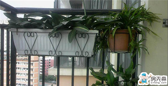 怎样挑选不锈钢阳台花架？