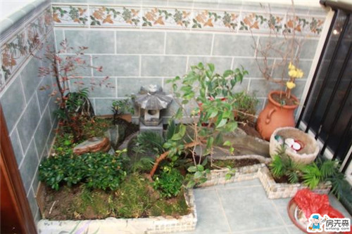 手把手教你，从零开始在家中阳台搭建微型花园！