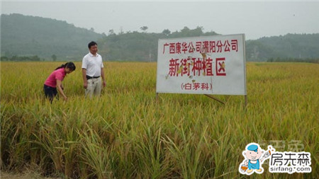 农村土地流转   超详细的政策介绍