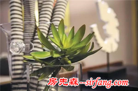 家里有綠植的朋友注意了！你家的植物可能全擺錯(cuò)了