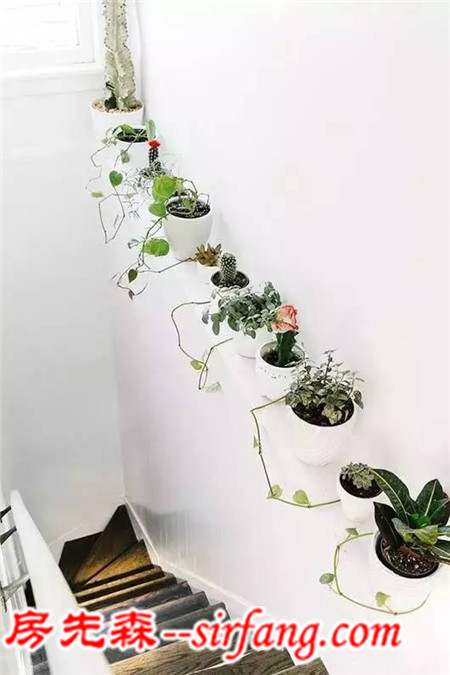 家里有綠植的朋友注意了！你家的植物可能全擺錯(cuò)了