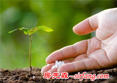 家庭自制有机肥！变废为宝，为植物添点肥 | 塔莎课堂