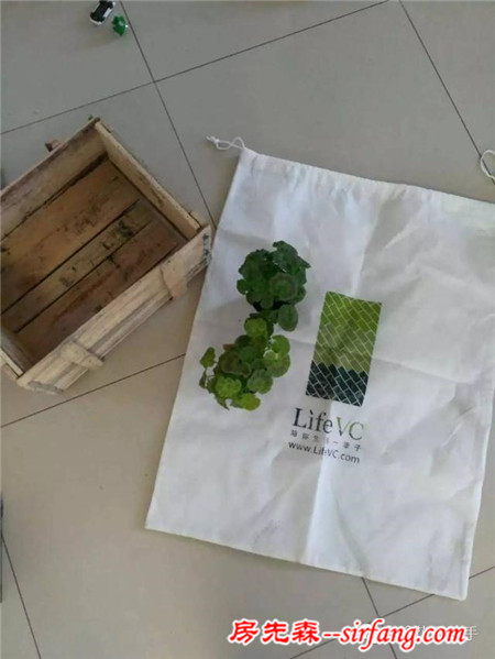 變廢為寶--木箱變花箱，種上天竺葵好美