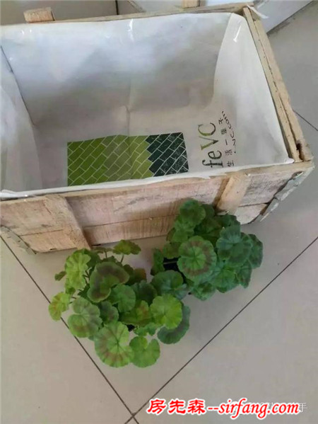 變廢為寶--木箱變花箱，種上天竺葵好美
